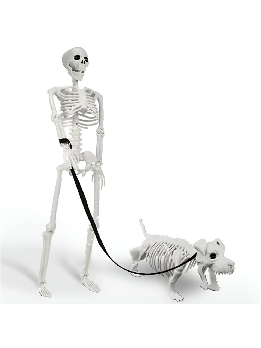 Lighted Human & Dog Skeleton Halloween Decorations Outdoor/Indoor - 36 Inch